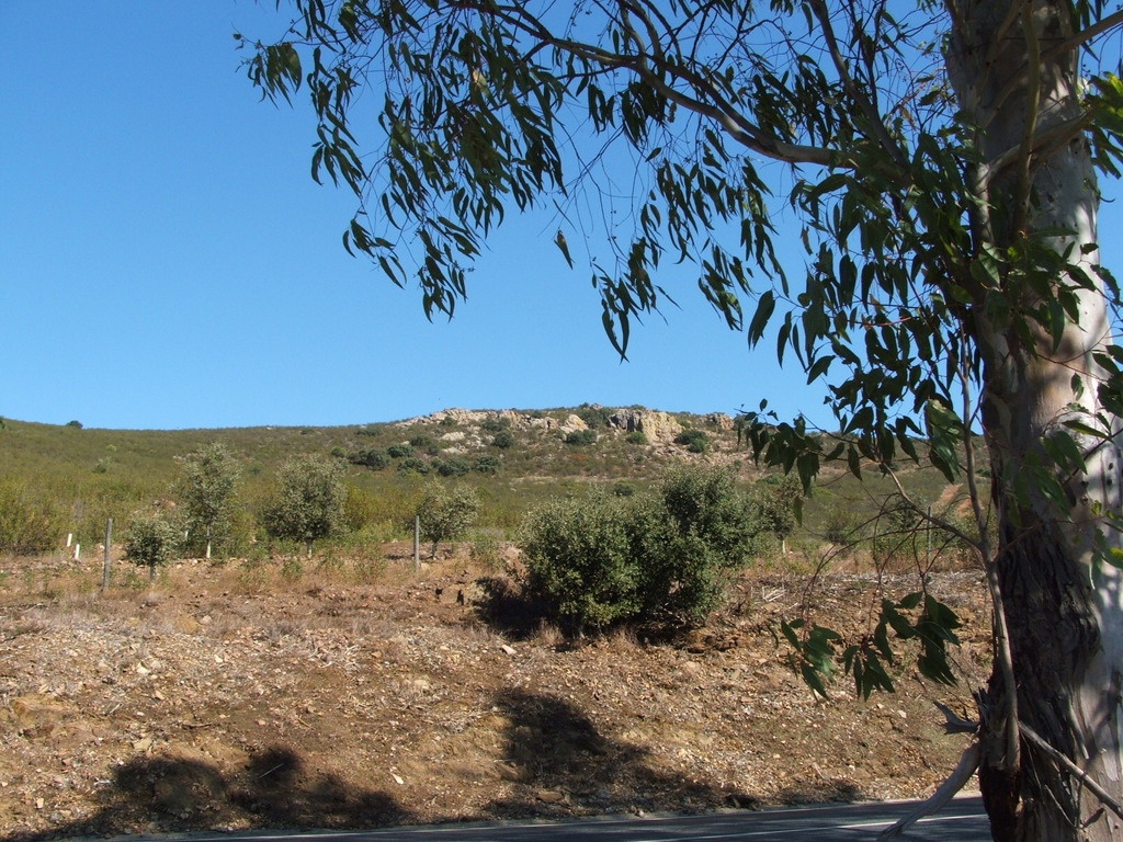 2011-10 Portugal/Mertola/DSCF6085.JPG
